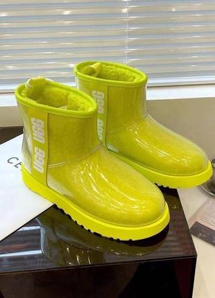 Ugg 3