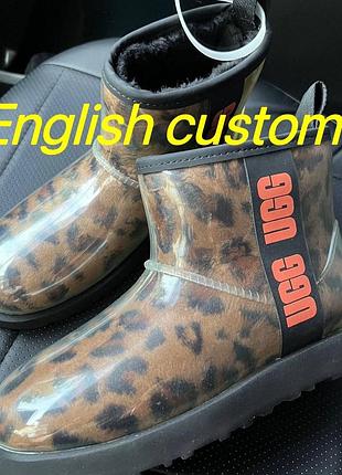 Ugg 5