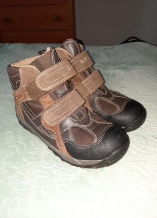 Черевики geox