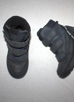 Сапоги фирмы ecco 30 размера по стельке 19 см.