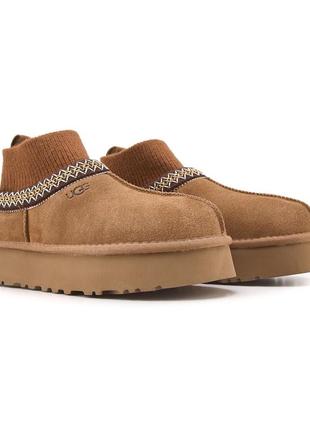 Жіночі уггі ugg tasman platform sock chestnut v / smb