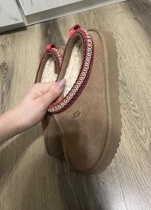 Ugg тасман