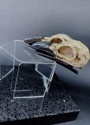 Заколка в виде черепа вороны