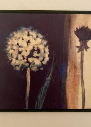 Набор подставок под чашку 10*10см