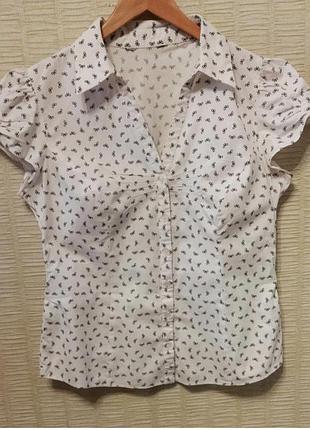 Блуза блузка в бантиках