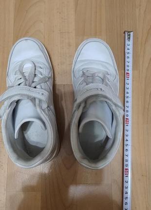 Champion кроссовки 5