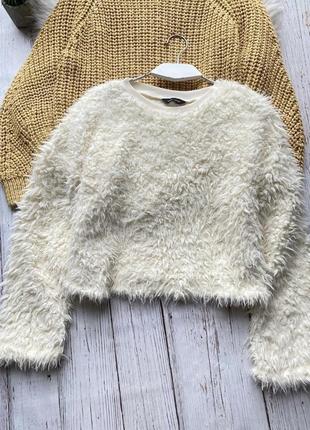 Світшот тедді