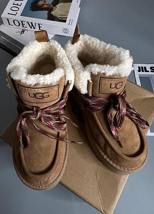 Сапоги ботинки угги ugg обуви зимнее