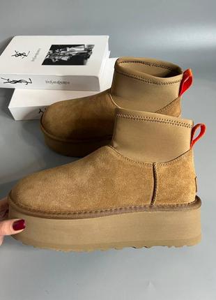 Уггі черевики ugg classic mini dipper взуття зимове