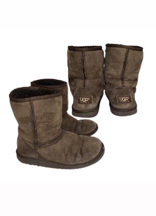 Теплые темно-коричневые угги ugg на овчине