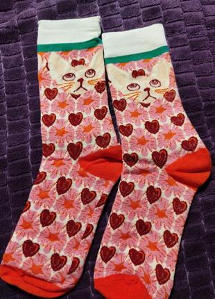 Шкарпетки жіночі котики