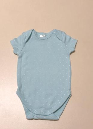 Бодик. в горошек боди бодик мятный боди