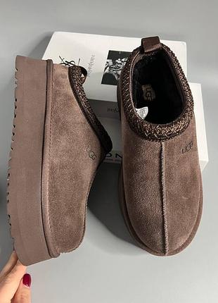 Угги таз шоколад ugg taz обувь женская сапоги