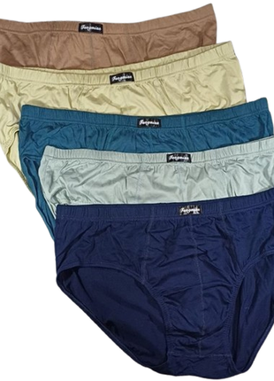 Чоловічі труси сліпи, набір з 5 шт.