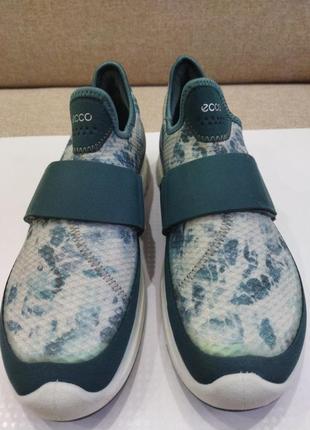 Кросівки ecco