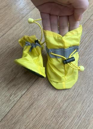 Обувь для собаки