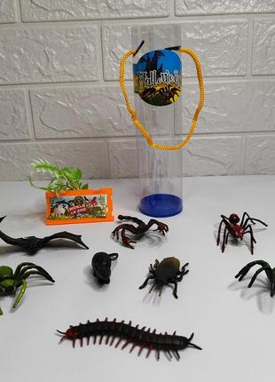 Колба с насекомыми