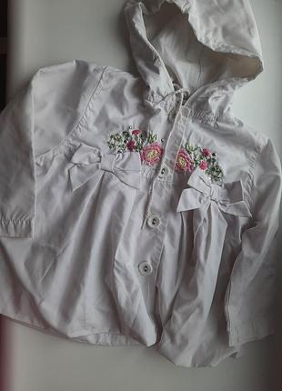 Куртка, ветровка