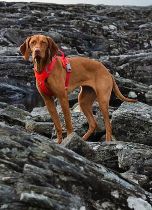 Шлейка для больших собак hurtta weekend warrior eco - оригинал