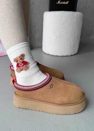 Распродажа! ugg tazz platform chestnut premium женские угги угги угги тасман на овчине зимние теплые! скидка!