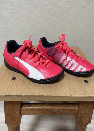 Яркие кроссы