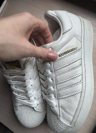 Adidas superstar кросівки