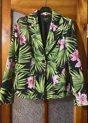 Пиджак жакет