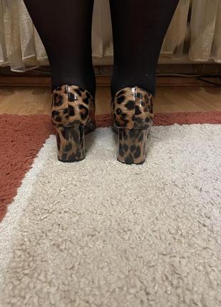 Леопардовые туфли
