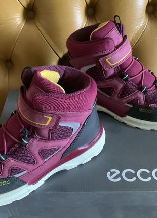 Шкіряні черевики eco urban hiker gore-tex, р.38