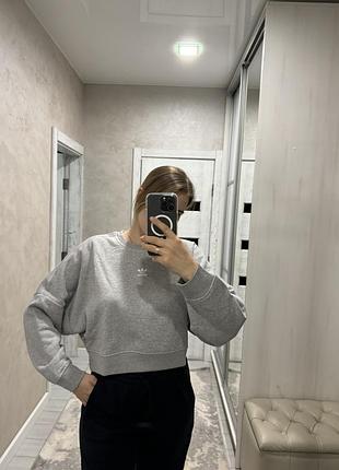 Світшот adidas