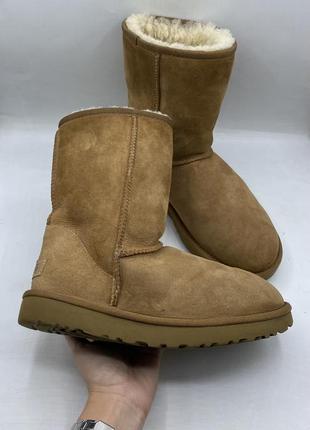 Угги ugg classic short ii (1016223) оригинал