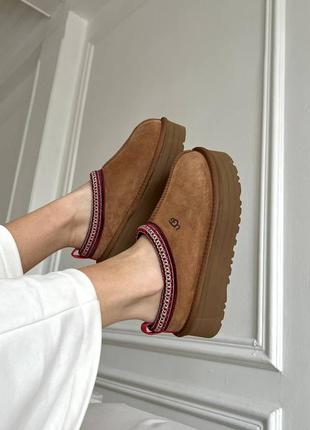 Угги уггі угг ugg tasman