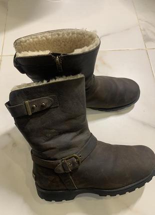 Черевики ugg