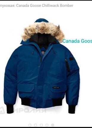 Пуховик, бомбер, canada goose (оригинал)