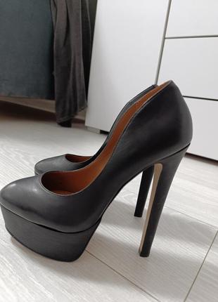 Туфлі steve madden