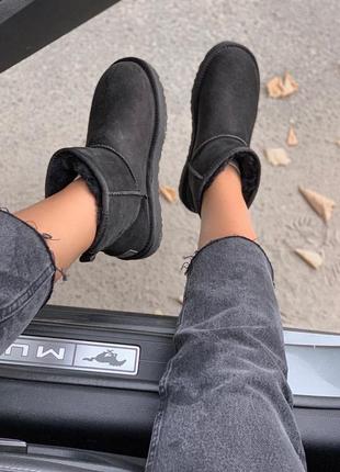 Ugg mini suede 3