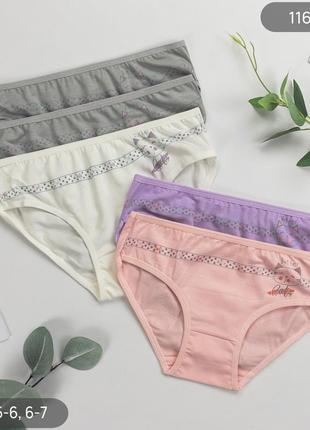 Трусики детские хлопковые для девочки nicoletta турочница 5 шт в упаковке, набор трусиков