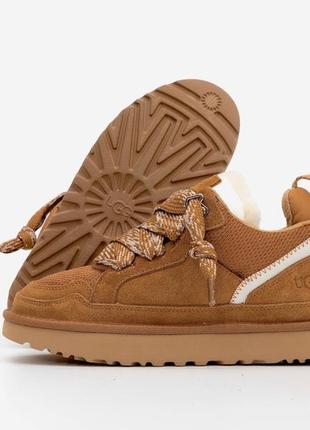 Угги уггі угг ugg lowmel
