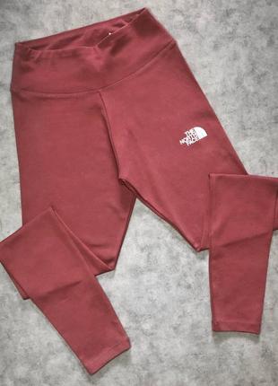 Лосины tnf
