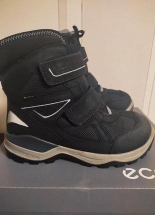 Ботинки зимние размер 36 ecco gore-tex mountain