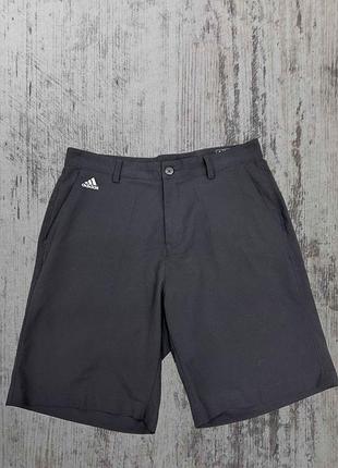 Чоловічі шорти adidas