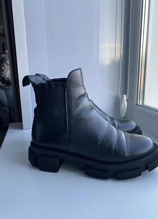 Челсі(демісизон)