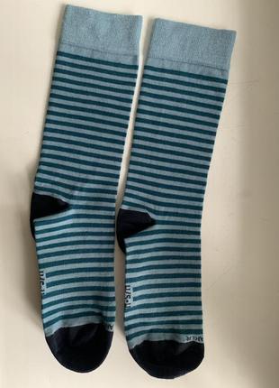 Носки ісеbreaker lifestyle crew stripe