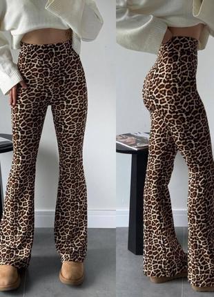Лосины клеш теплые леопардовый принт