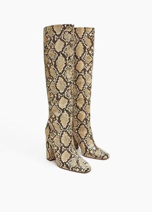Сапоги имитация питон