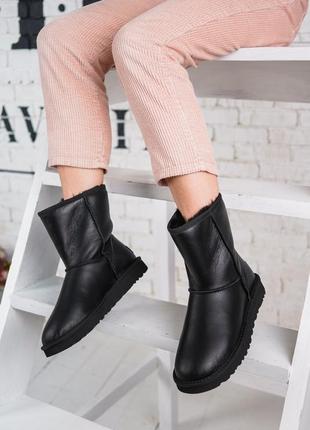 Жіночі чорні уггі sneakers ugg Benson Dove Women S Buckle Sheepskin Ankle Bootie lather