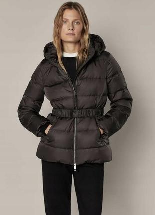 Куртка , пуховик massimo dutti