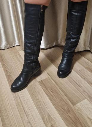 Сапоги