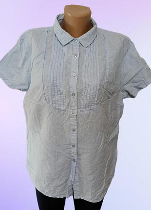 Рубашка, блуза, блузка в клетку