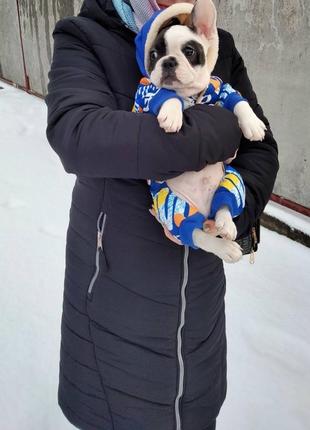 Пальто